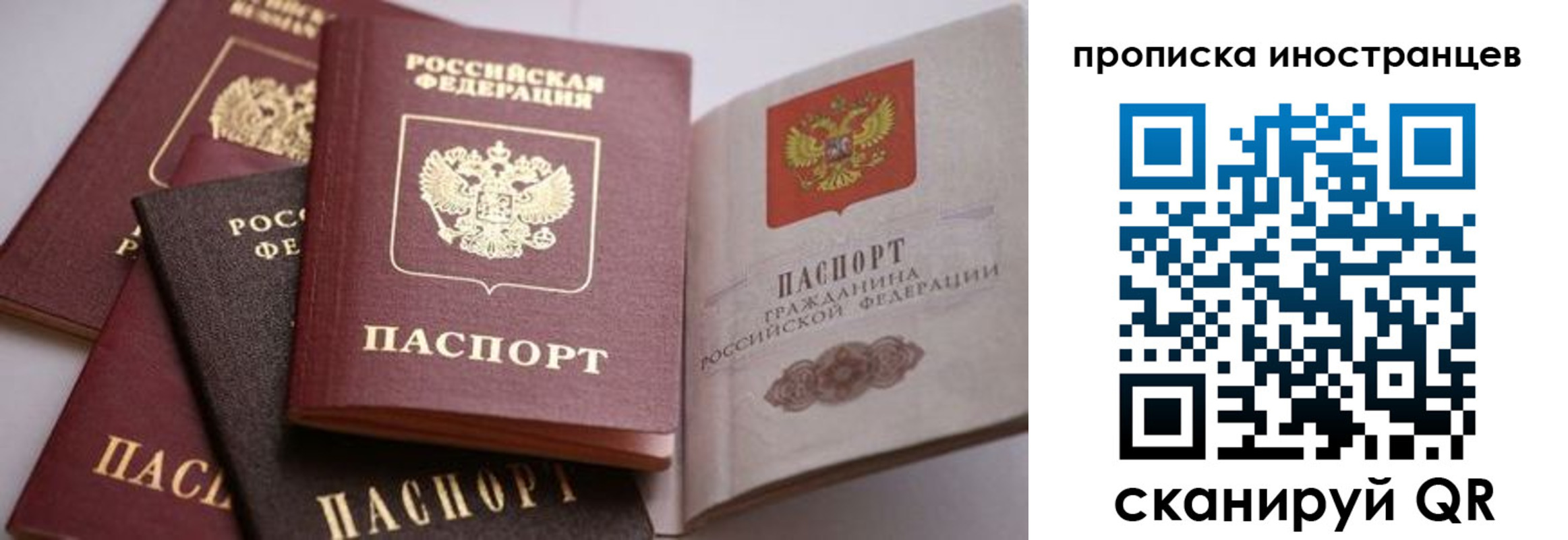 пропишу в квартире в Бийске